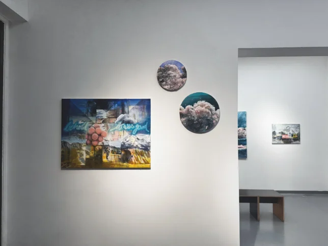 Tessa Wolkersdorfer, Ausstellungsansichten